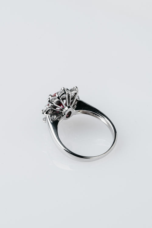 ANELLO KATE